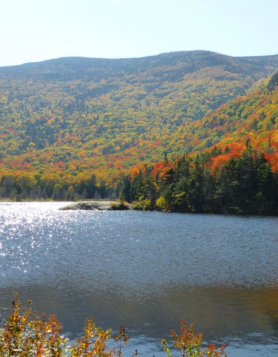 Home - Ames Brook